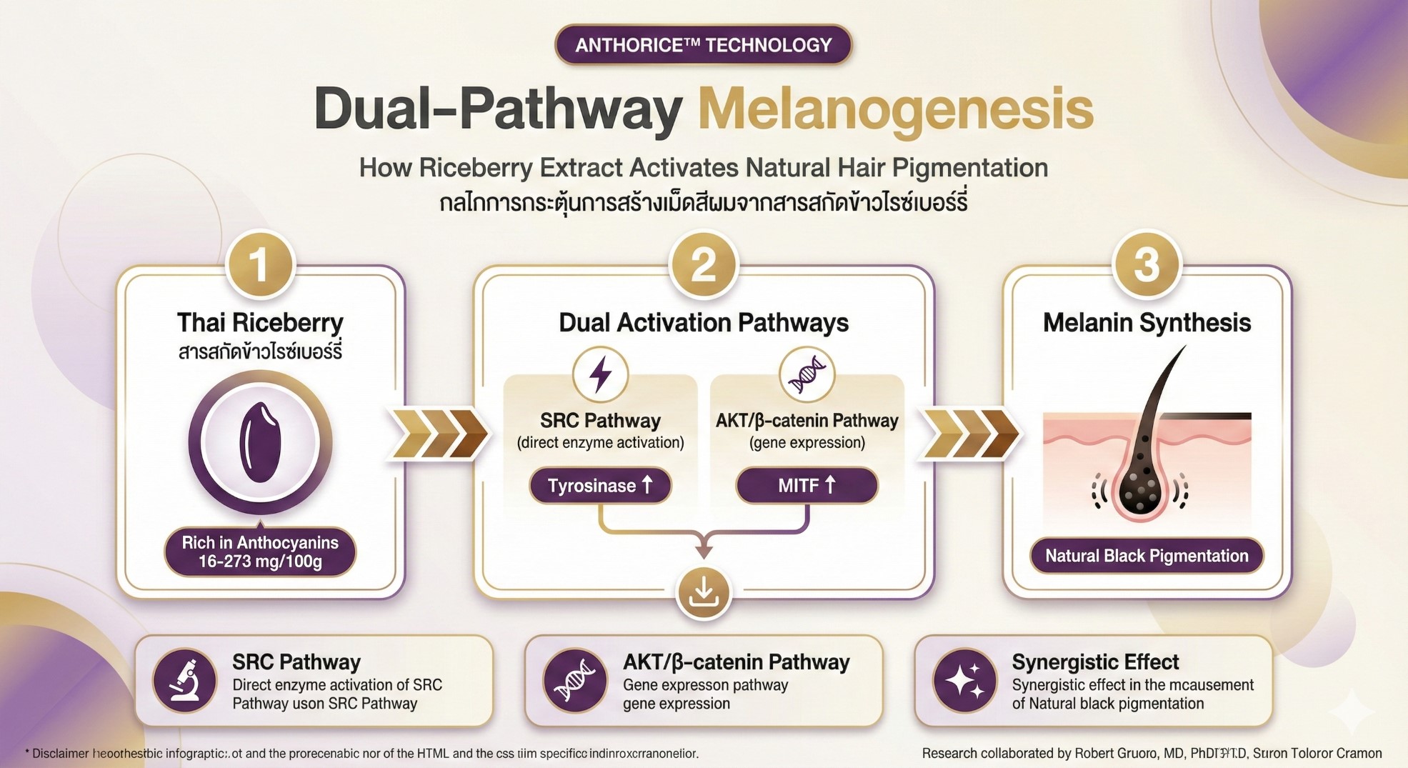 AnthoRice Extract Structure
