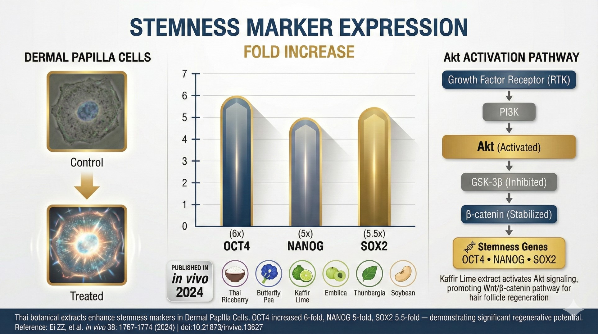 AnthoRice Complex Synergy